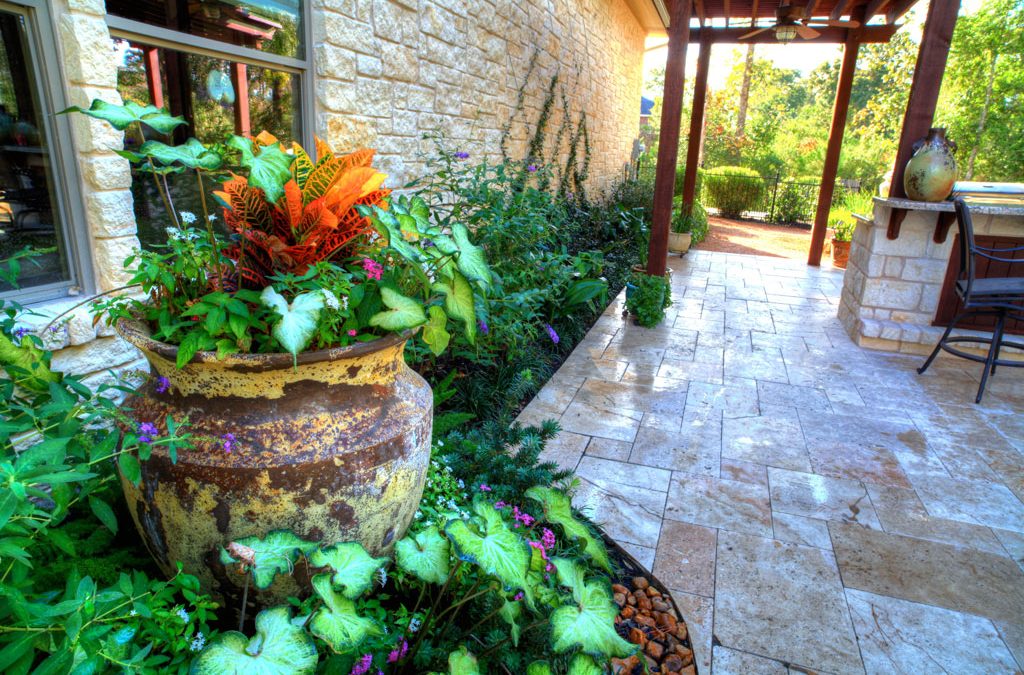 Fall Landscaping, Landscaping professional, Absolutely Outdoors, Conroe, TX