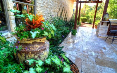 5 Fall Landscaping Tips for Year-Round Beauty
